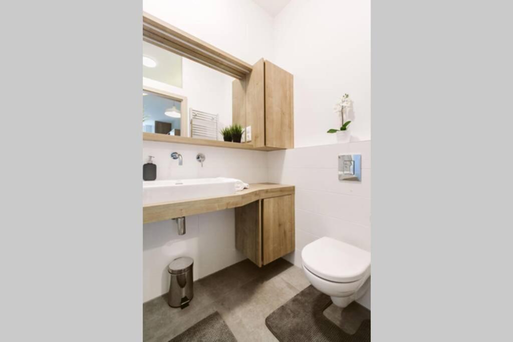 בודפשט Dream Forest Apartment מראה חיצוני תמונה